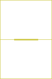 Dual outline