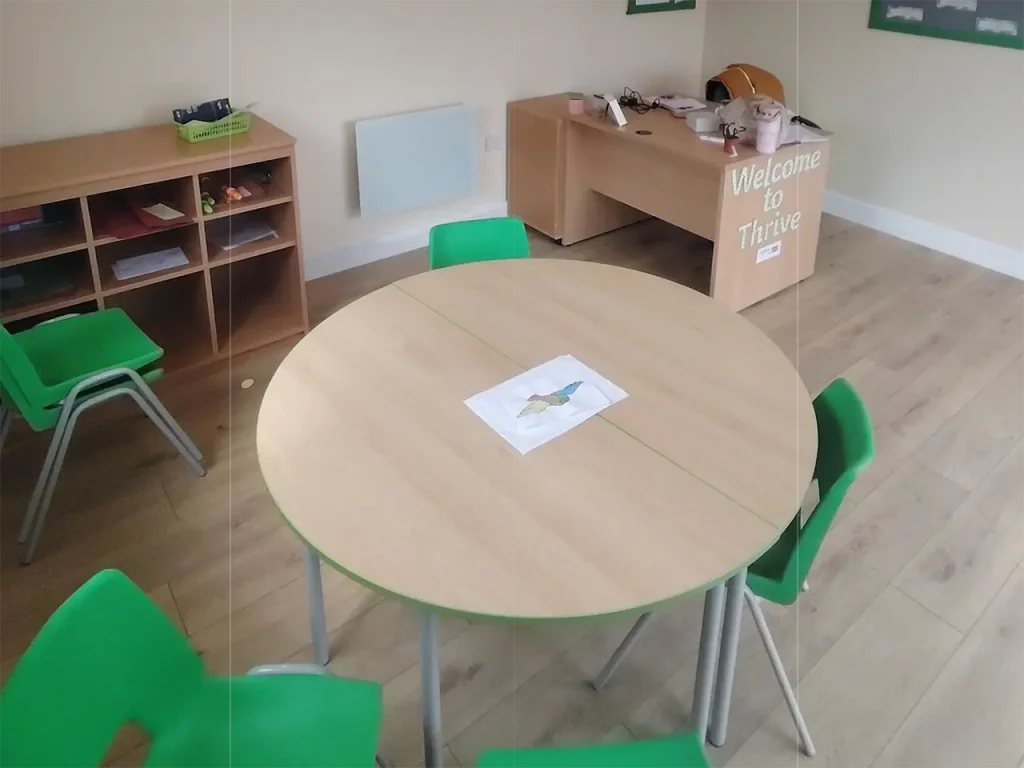 the thrive internal